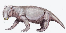 Lystrosaurus from Wikipedia