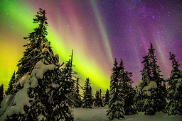 Northern lights Lappland 31 Dec 16